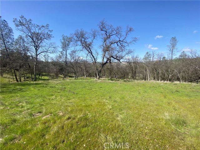 Detail Gallery Image 1 of 14 For 33930 Rivercrest Rd, Coarsegold,  CA 93614 - – Beds | – Baths