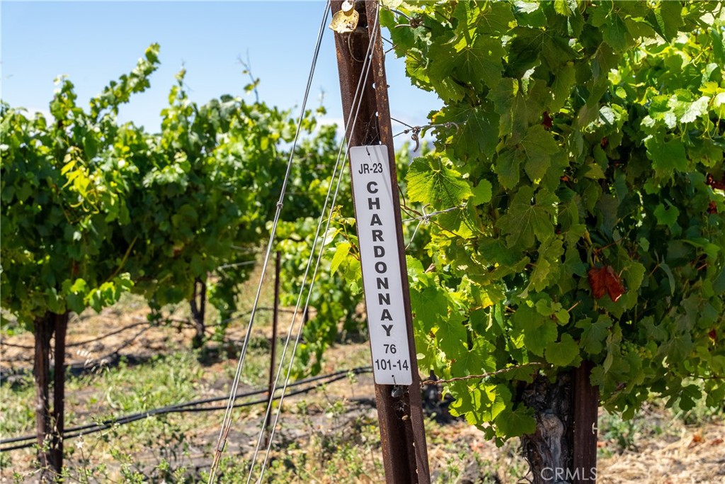 MLS #NS25194884 image #31