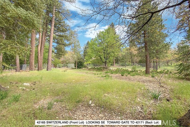 42171 Switzerland, Big Bear Lake, CA, 92315 42171 Switzerland, Big Bear Lake, CA, 92315