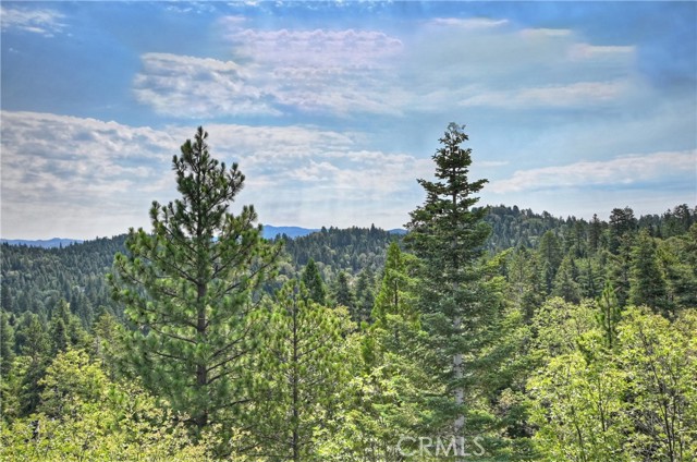 Detail Gallery Image 39 of 54 For 26354 Spyglass Dr, Lake Arrowhead,  CA 92352 - 3 Beds | 2 Baths