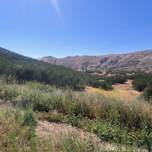 Detail Gallery Image 7 of 7 For 24330 El Toro, Perris,  CA 92570 - – Beds | – Baths