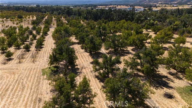 Detail Gallery Image 13 of 27 For 1010 Argonaut Rd, Kelseyville,  CA 95453 - 3 Beds | 1 Baths