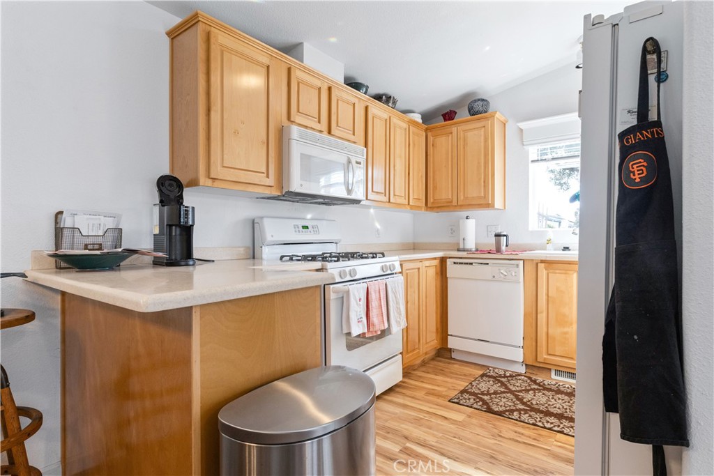 1256 Camino Del Roble 41