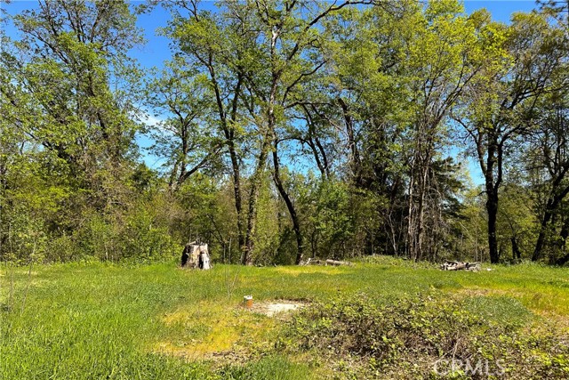 Detail Gallery Image 16 of 29 For 21138 Big Oak Ln, Lakehead,  CA 96051 - – Beds | – Baths