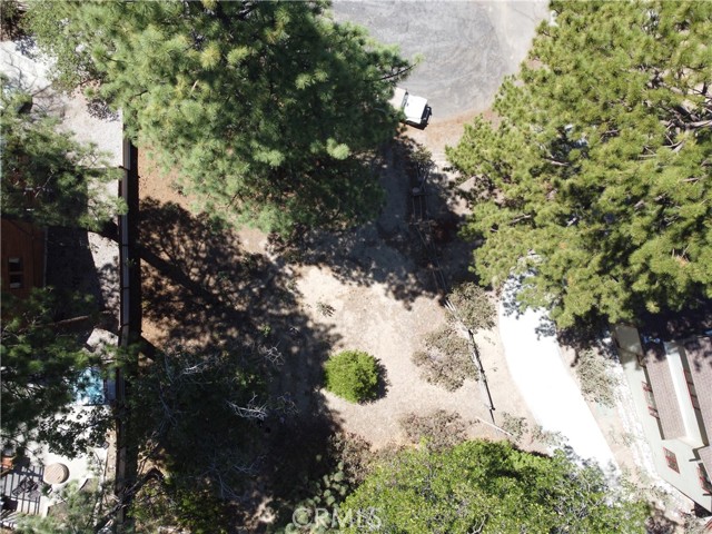 Front Image Thumbnail for CRIG26020858