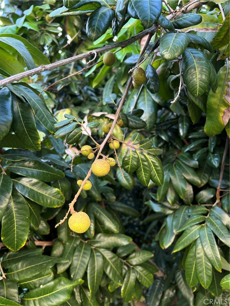 https://media.crmls.org/medias/baa41f03-42da-4136-a721-064195c38358.jpg?preset=X-Large