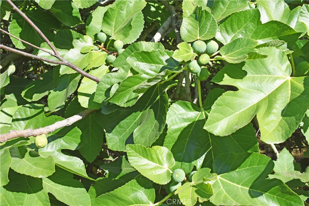 https://media.crmls.org/medias/baab7571-5f30-4425-b5e6-386279dcd137.jpg?preset=X-Large