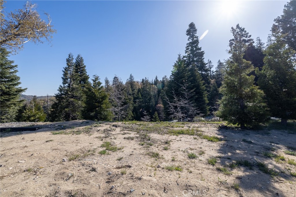 MLS #RW24172278 image #9