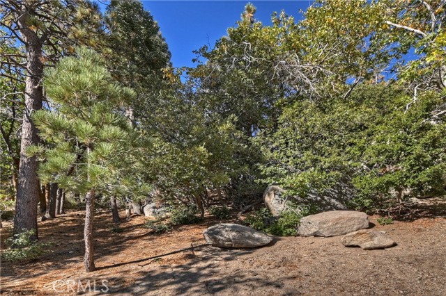 Detail Gallery Image 39 of 49 For 33000 Juniper Ln, Green Valley Lake,  CA 92341 - 4 Beds | 2/1 Baths