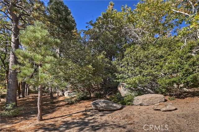 Detail Gallery Image 39 of 49 For 33000 Juniper Ln, Green Valley Lake,  CA 92341 - 4 Beds | 2/1 Baths