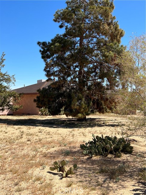 62816 Shifting Sands, Joshua Tree, CA, 92252 62816 Shifting Sands, Joshua Tree, CA, 92252