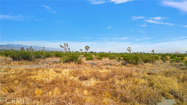 Detail Gallery Image 12 of 19 For 0 Palmadale Rd, Pinon Hills,  CA 92372 - – Beds | – Baths