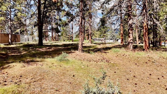 Image 46 of 54 For 0 S Lang Way