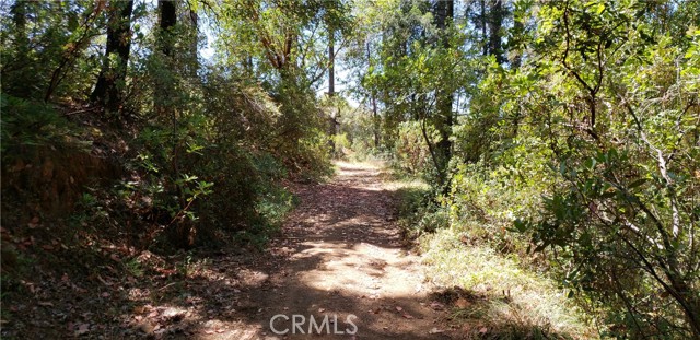 Detail Gallery Image 6 of 14 For 0 Lumberjack Road, Oroville,  CA 95965 - – Beds | – Baths