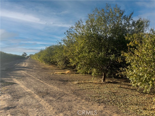 Detail Gallery Image 7 of 10 For 38 Acre Lot North & Marks, Fresno,  CA 93706 - – Beds | – Baths