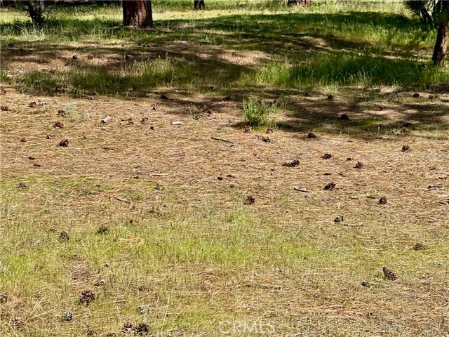 Image 20 of 54 For 0 S Lang Way