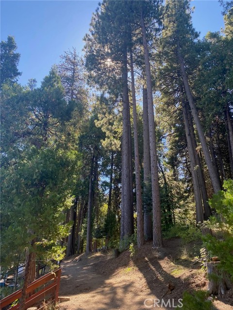187 Cedar Circle Circle, Lake Arrowhead CA: https://media.crmls.org/medias/bace1c9a-c288-4123-ab24-6569656d1d07.jpg