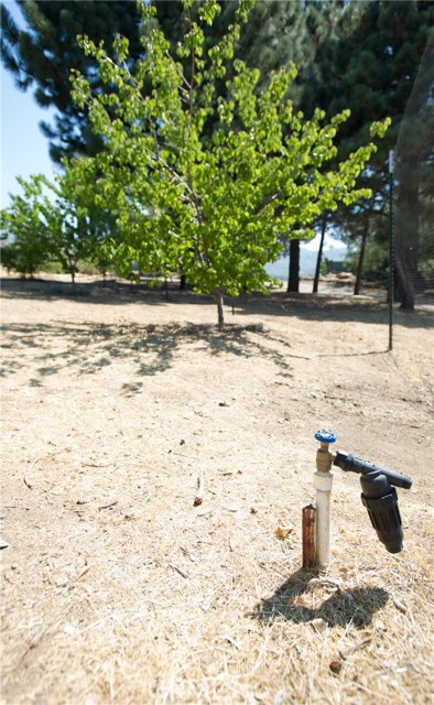 Detail Gallery Image 59 of 75 For 12145 Twin Springs Rd, Descanso,  CA 91916 - 4 Beds | 2 Baths