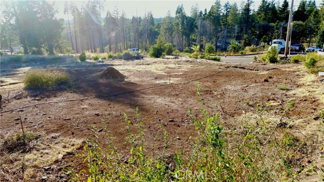 13668 W Park, Magalia, CA, 95954 13668 W Park, Magalia, CA, 95954