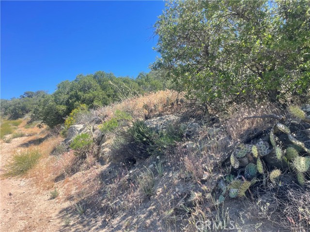 33 Sweetbush, Anza CA: https://media.crmls.org/medias/bad68ddf-64be-4697-b7eb-a26660b68a18.jpg