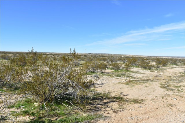 Detail Gallery Image 9 of 31 For 24 Frontier, Helendale,  CA 92342 - – Beds | – Baths