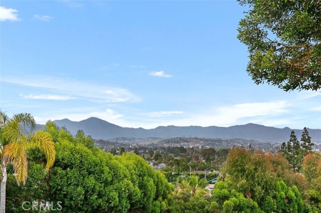 Detail Gallery Image 44 of 53 For 33661 Windham Dr, Dana Point,  CA 92629 - 3 Beds | 2/1 Baths