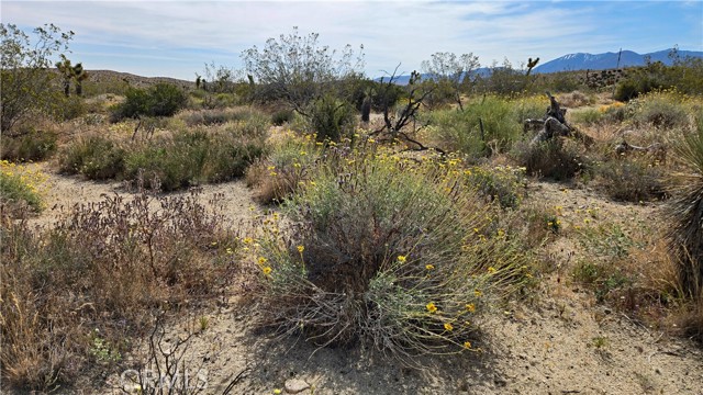 Detail Gallery Image 22 of 49 For 0 103rd St East Vicinity W14, –,  CA 93543 - – Beds | – Baths