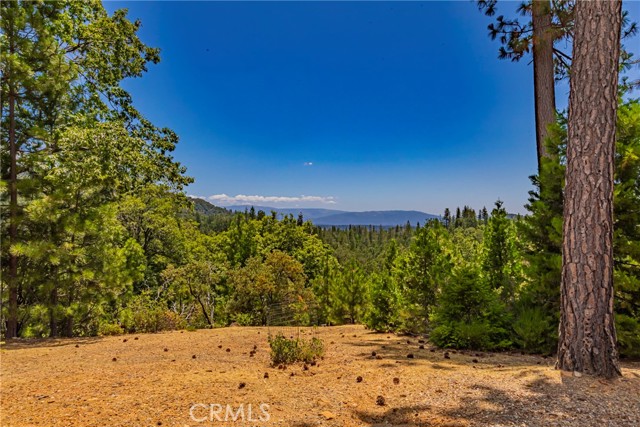 53235 Finegold Creek Court, North Fork CA: https://media.crmls.org/medias/bada038f-3c10-413a-bc76-b635d625d1e1.jpg