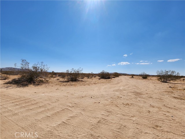 2025 Mcgarry Road, Joshua Tree CA: https://media.crmls.org/medias/badf381c-935f-4760-bdd1-8b66a7d79a3c.jpg
