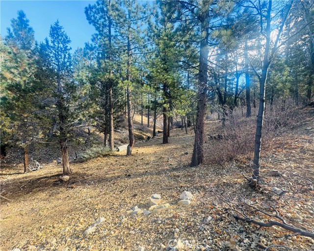899 Kern Avenue, Sugarloaf CA: https://media.crmls.org/medias/bae2b48c-79a1-4242-8e91-6839036ac172.jpg