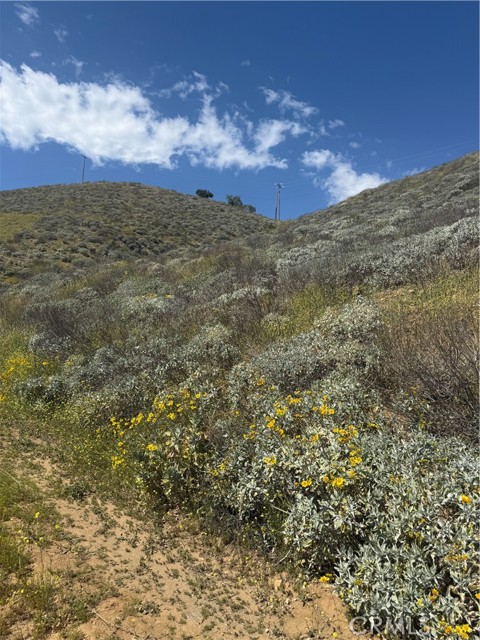 Front Image Thumbnail for CRSW26043681