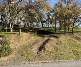 Front Image Thumbnail for CRNS25277299