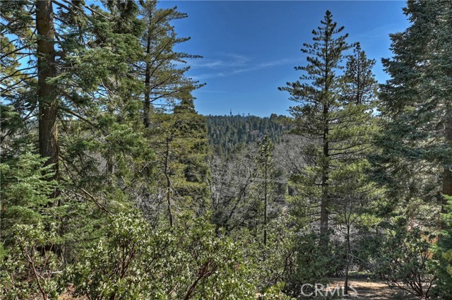 Detail Gallery Image 43 of 47 For 26285 Augusta Dr, Lake Arrowhead,  CA 92352 - 2 Beds | 1/1 Baths