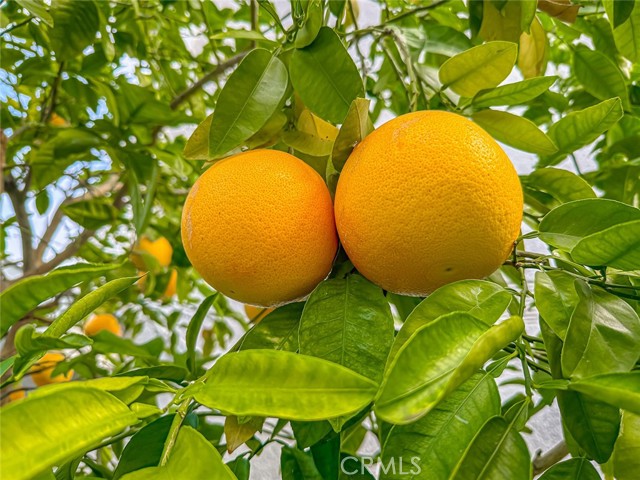 Detail Gallery Image 42 of 46 For 5625 Slicers, Agoura Hills,  CA 91301 - 3 Beds | 3 Baths