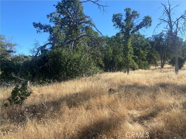 0 State Hwy 140, Mariposa CA: https://media.crmls.org/medias/baff96f6-f2ae-4c54-9057-8f127d882bc8.jpg