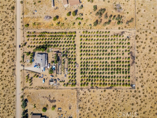 Detail Gallery Image 6 of 14 For 9425 Banta Rd, Lucerne Valley,  CA 92356 - 4 Beds | 2 Baths