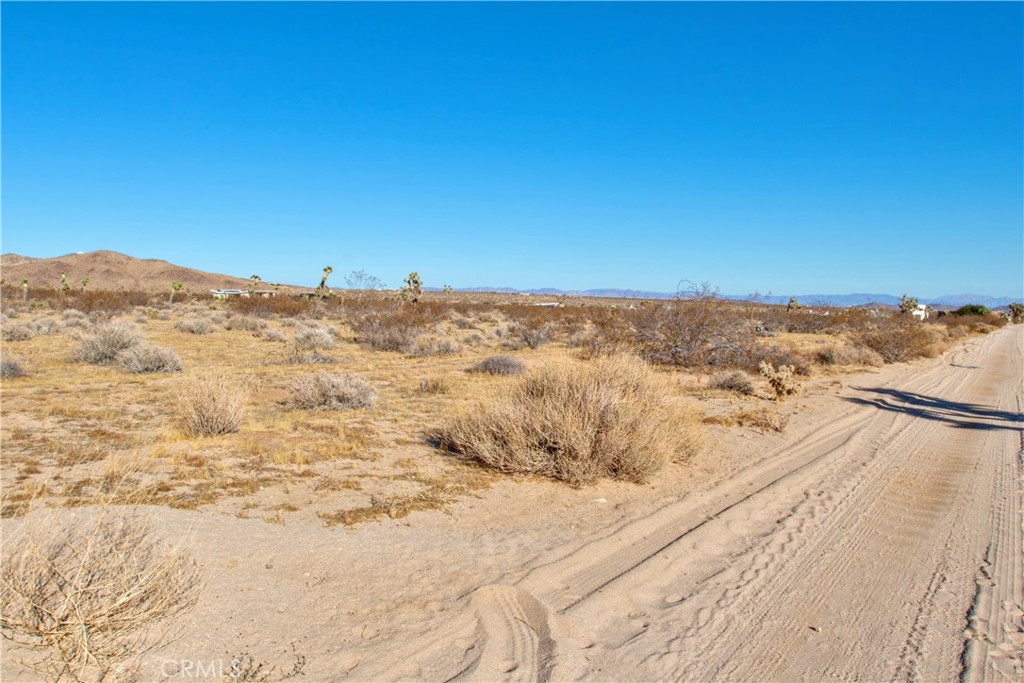 MLS #JT24248721 image #11