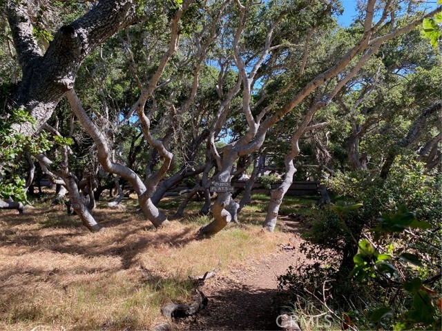 Detail Gallery Image 50 of 58 For 1595 Los Osos Valley Rd 6b,  Los Osos,  CA 93402 - 2 Beds | 2 Baths