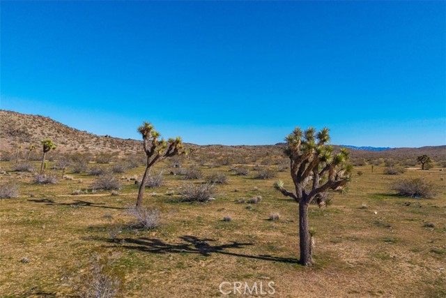 Detail Gallery Image 10 of 45 For 58459 Starlight Mesa Rd, Yucca Valley,  CA 92284 - – Beds | – Baths