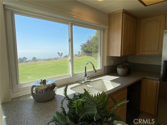 Kitchen Sink with Ocean Views
