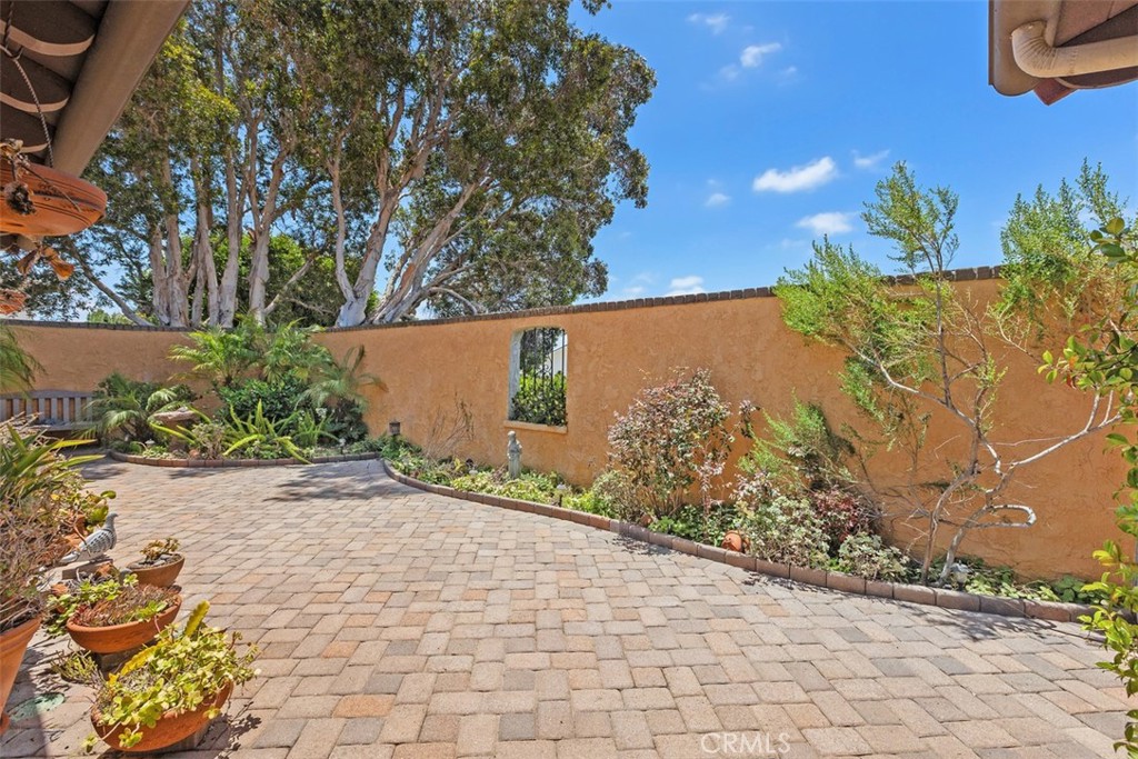 7791 Madrilena - photo 3
