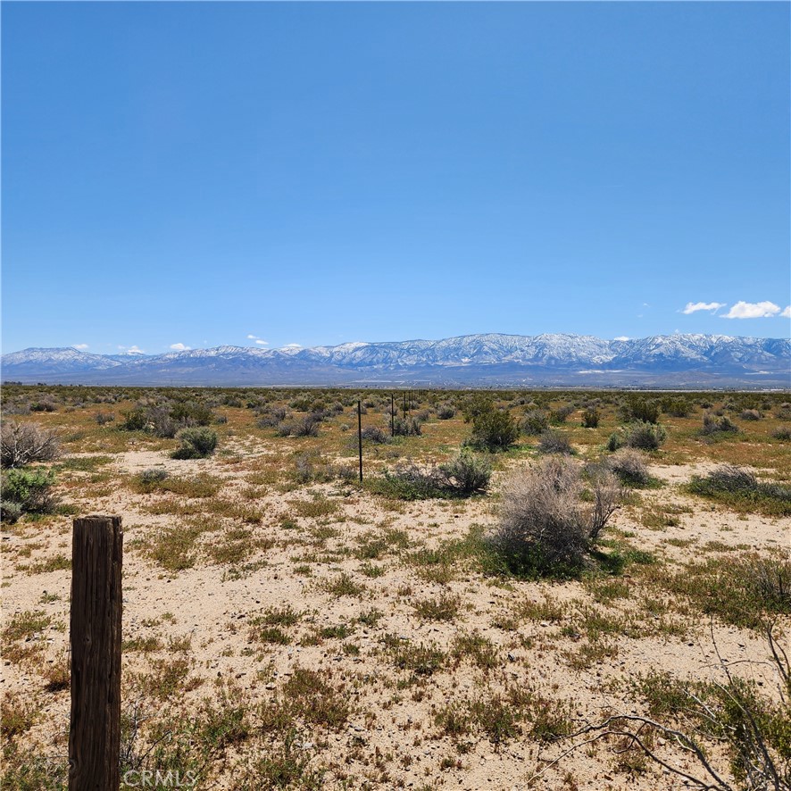 MLS #HD25266694 image #5