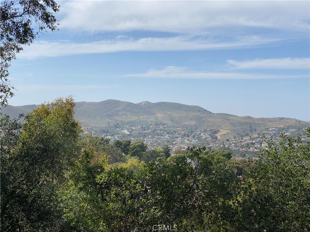 MLS #OC25101068 img 38