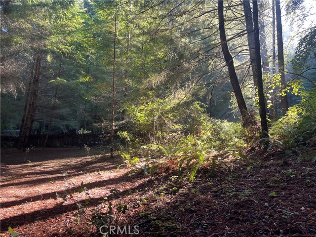 Detail Gallery Image 29 of 40 For 16125 Bittner Rd, Occidental,  CA 95465 - 4 Beds | 2 Baths