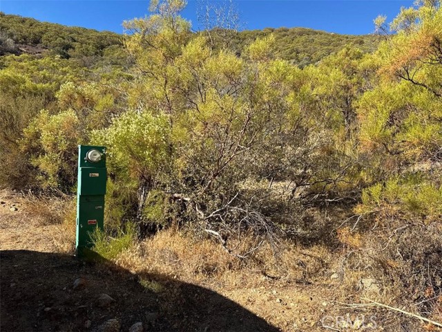 0 Chapman Road, Anza CA: https://media.crmls.org/medias/bb338452-9911-4de0-bf5d-a081ece056a6.jpg