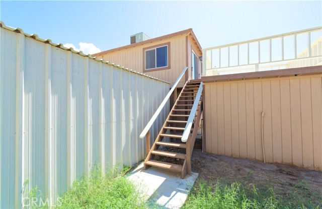 back yard