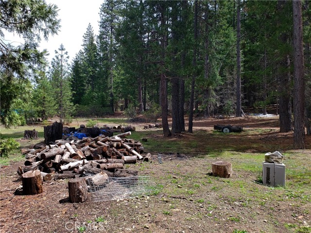Detail Gallery Image 29 of 37 For 50 Bass Ln, Hayfork,  CA 96041 - 1 Beds | 1 Baths