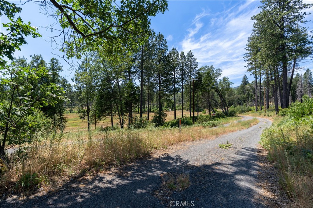 MLS #SN25260902 image #10