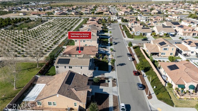 Detail Gallery Image 45 of 52 For 1529 Adeline, Redlands,  CA 92374 - 4 Beds | 3/1 Baths