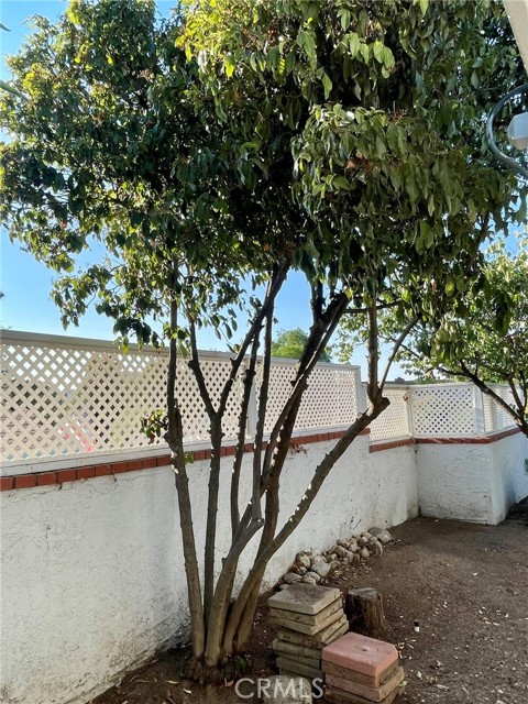 34793 The Farm Road, Wildomar CA: https://media.crmls.org/medias/bb4a631b-b59f-433c-9d64-81f6e93c678d.jpg